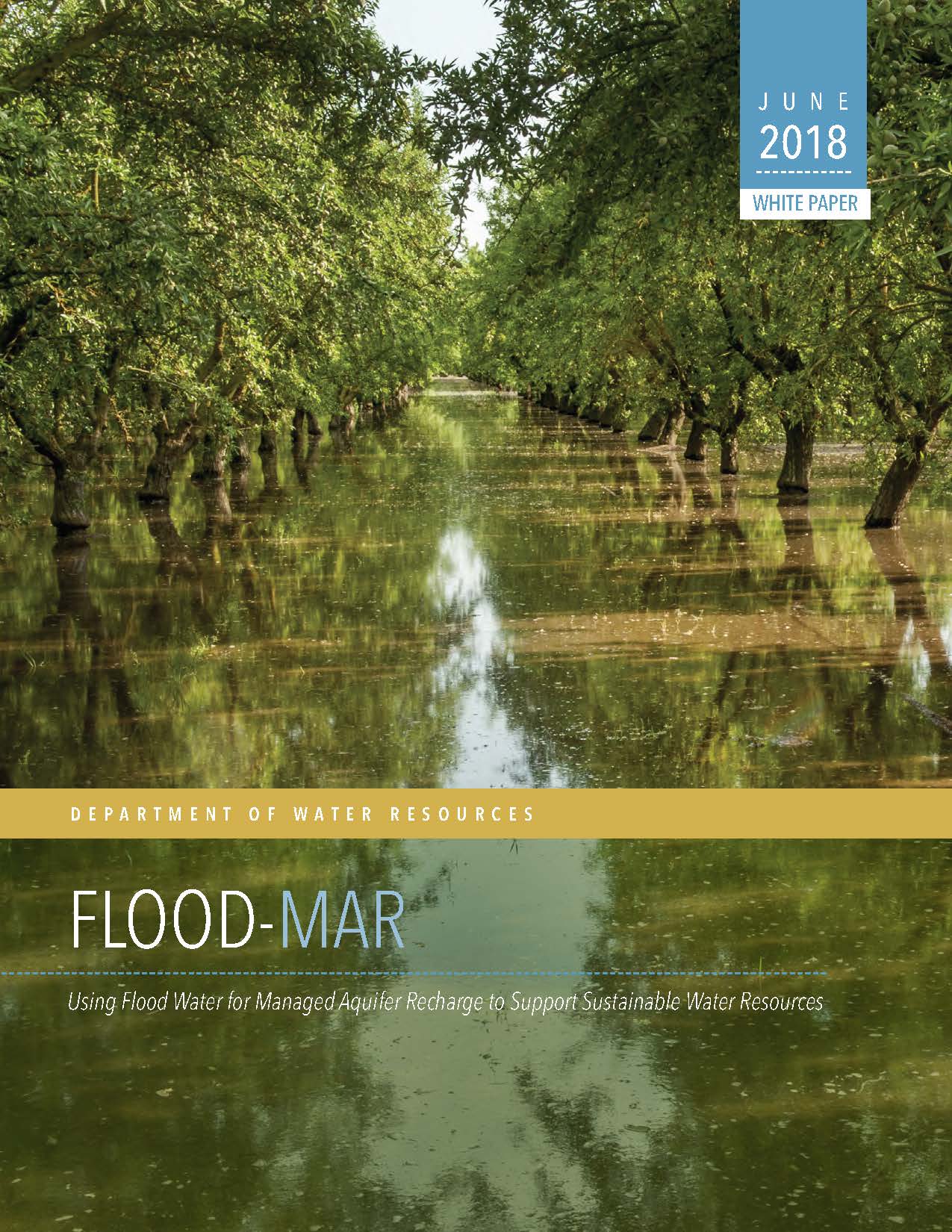 Amazing Aquifer Recharge: The Journey Of Surface Water - qe822r8