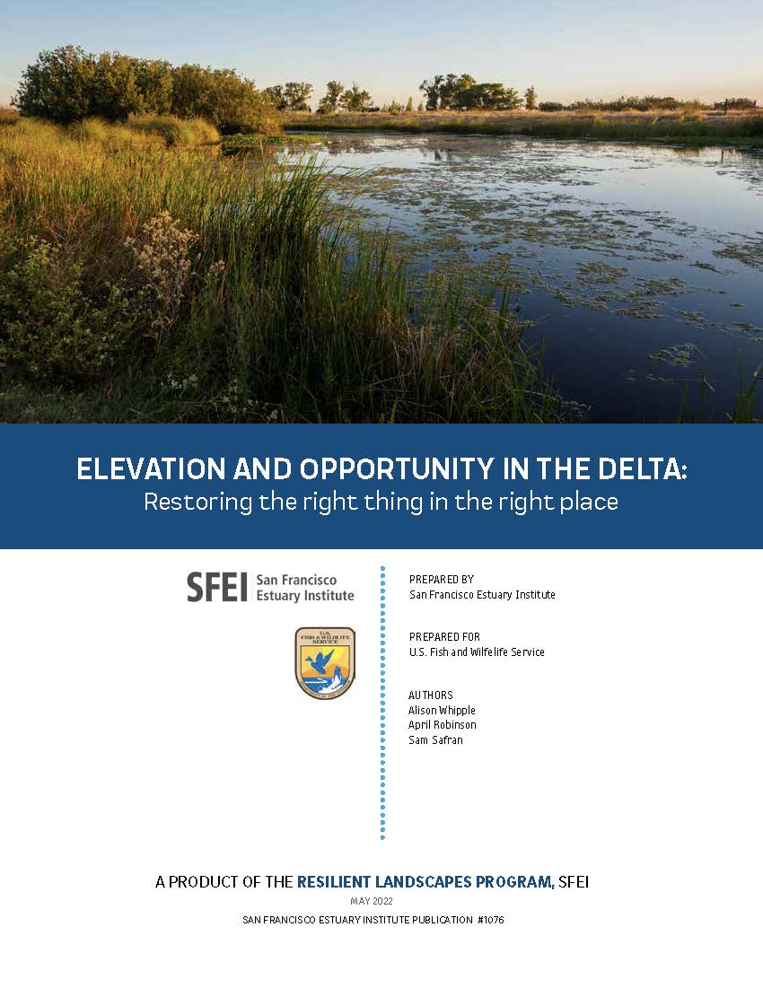 Elevation and Opportunity in the Delta: Restoring the Right Thing in the Right Place
