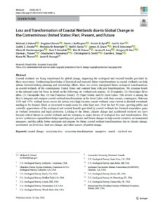 Loss and Transformation of Coastal Wetlands due to Global Change in the Conterminous United States: Past, Present, and Future