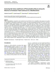 Assessing the Status and Drivers of Phytoplankton Blooms along the Riverine to Freshwater-Tidal Continuum in a Modified Delta